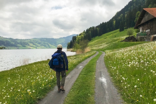 Sur les hauts du lac d’Ägeri