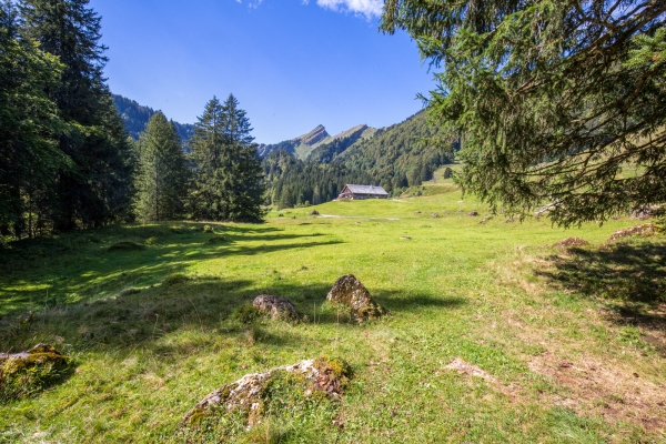 Sur la plus grande montagne de poudingue d’Europe