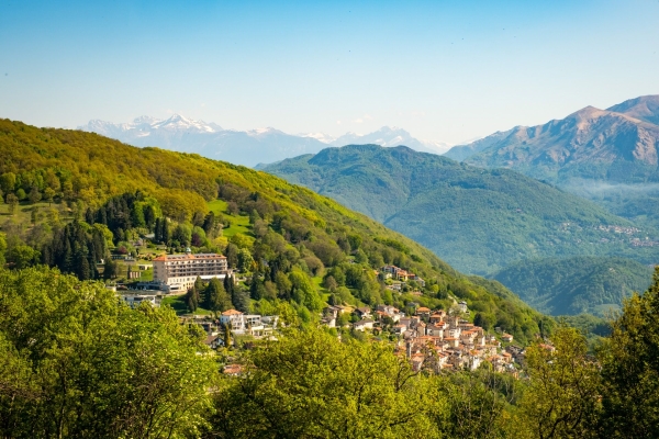 Dalla collina soleggiata al vino