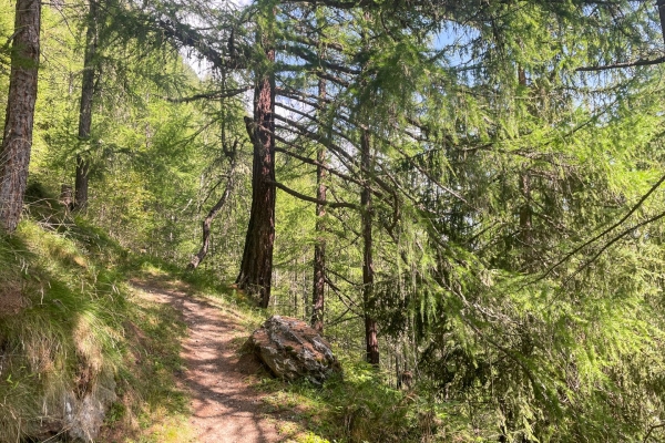 Point de vue au-dessus du Mattertal