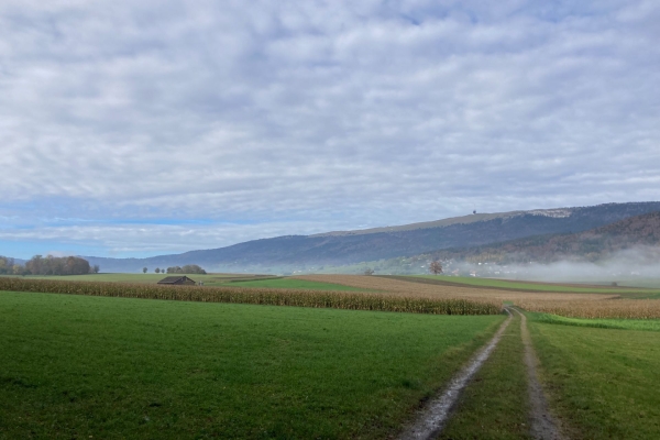 Les gorges de Douanne, près du lac de Bienne