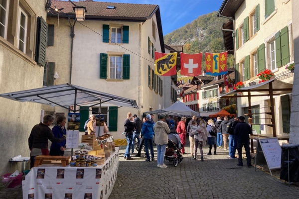 Durch die Twannbachschlucht am Bielersee