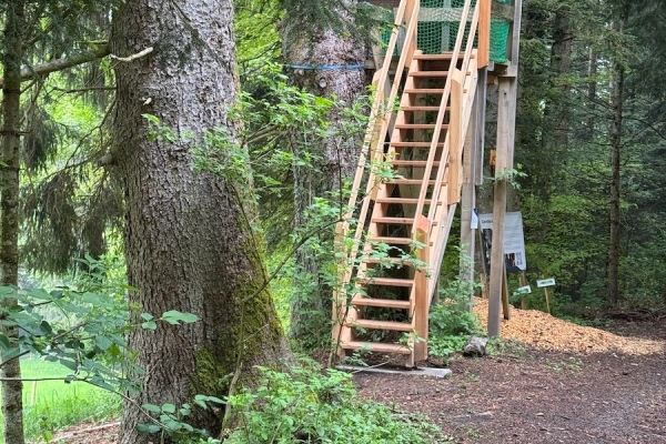 Sentier découverte de l’abeille mellifère, insecte forestier
