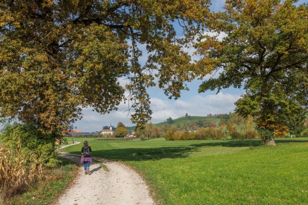 Wolhusen (***/T1)