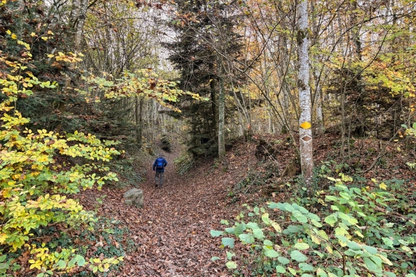 Vom Reussufer zum Erdmannlistei