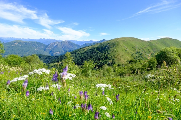 Selve castanili e una cresta nel Malcantone