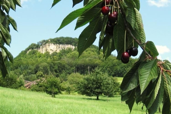 Wandertreffen der Kantone (AG, BS, BL, SO)  - Route 2 (lang)