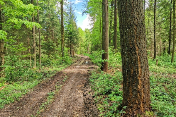 14. Wanderung Moränenpfade von Biberist nach Büren