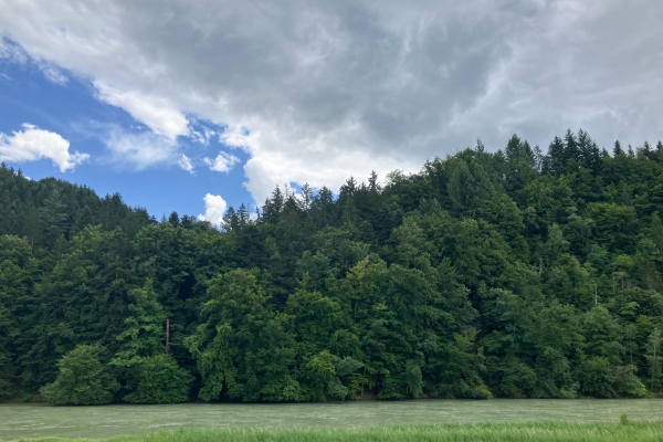 In der stadtnahen Natur an der Aare