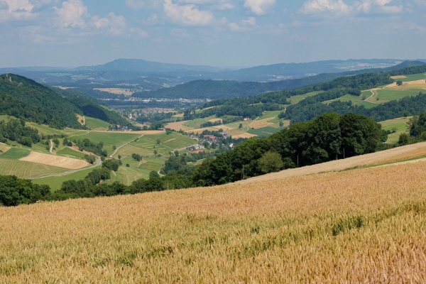 Les reptiles de la vallée de Schenkenberg