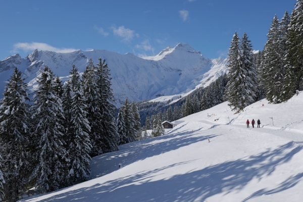 Géologie et belles vues au-dessus d’Elm