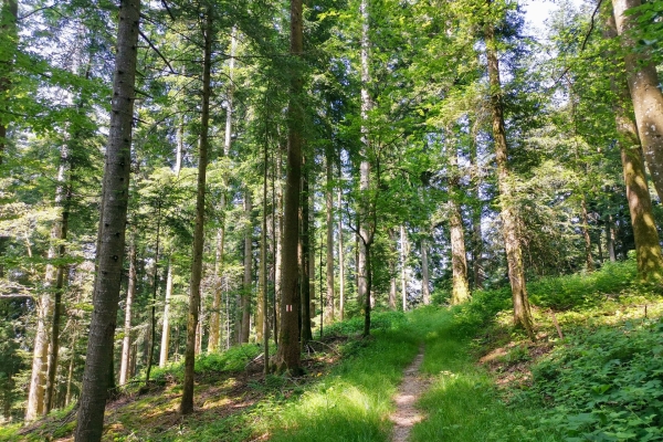 Gipfelglück im Entlebuch