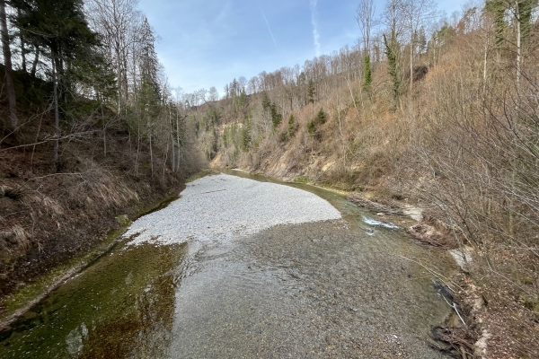 Vormittags - Halbtageswanderung rund um Lütisburg mit Besichtigung Letzistrasse