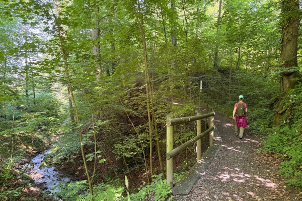 Sonnige Uferwanderung entlang der Reuss