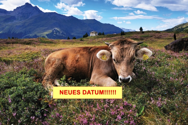 Perlen im «Parc Ela»