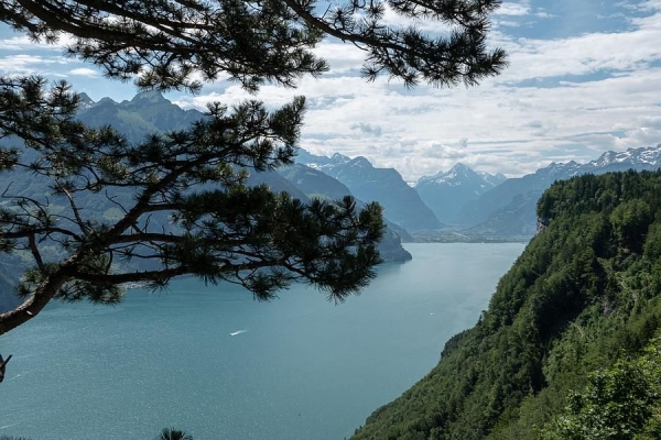 Durch den Brennwald zur Kapelle Maria Sonnenberg