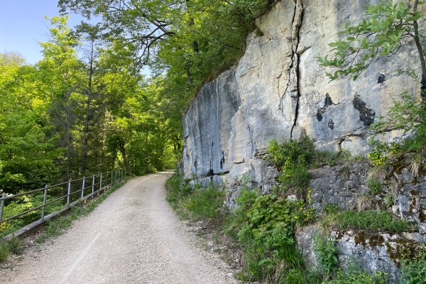 «Chriesibluescht» nahe des Gempen