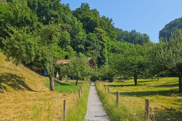 Durch die kühle Cholereschlucht