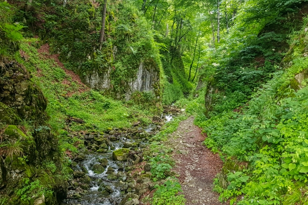 Boucle sur le Zwinglipass