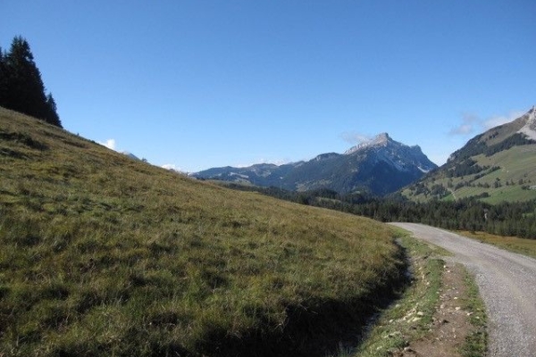Faszinierende Moorlandschaft bei Sörenberg