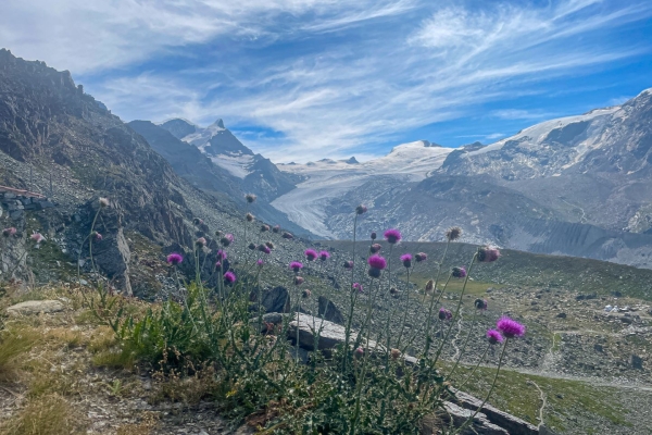 Fünf Seen und das Matterhorn im Blick