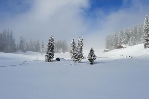 Brünig - Hasliberg (2. Durchführung)