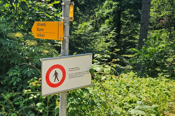 Attraverso la fresca gola di Choleren