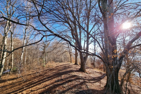 Una terrazza sul golfo di Lugano, il Monte Bigorio