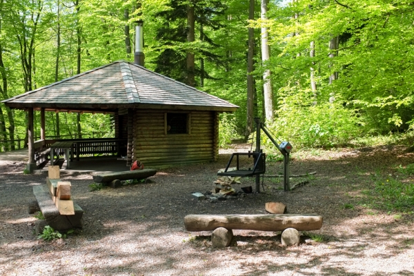 Attraverso la città, nella natura ZH