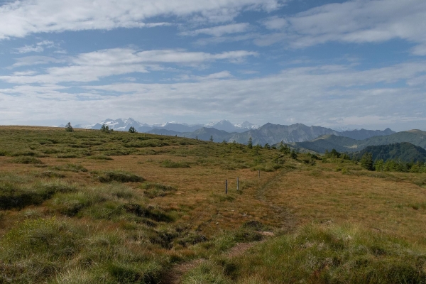 Moorzauber am Glaubenberg