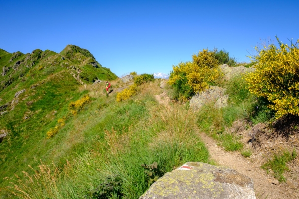 Kastanienselven und ein Grat im Malcantone