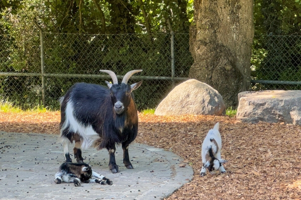 Côté nature et côté ville