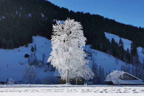 Ohne Steigung zu den Simmenfällen