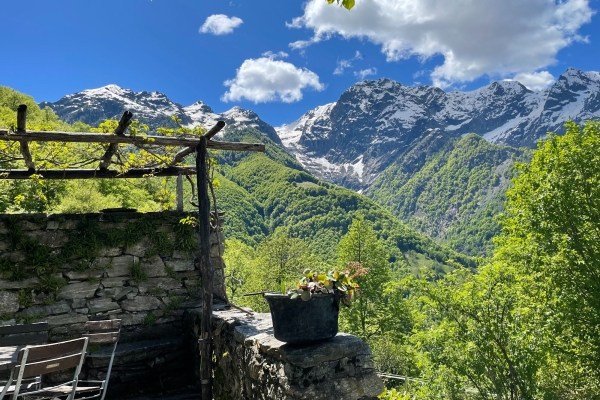 Centovalli in cucina: da Pietro Leemann a Terra Vecchia e Bordei