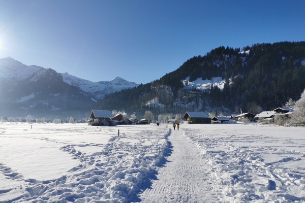 Randonnée à plat jusqu’aux chutes de la Simme
