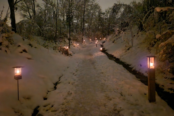Einstimmen in die schöne Adventszeit