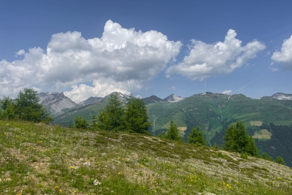 Rundwanderung aufs Rinerhorn