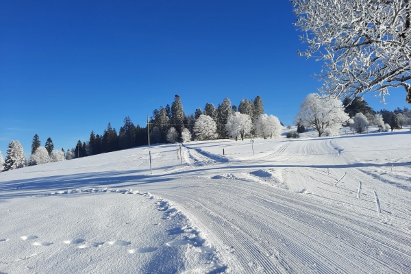 La Sagne (2. Durchführung)
