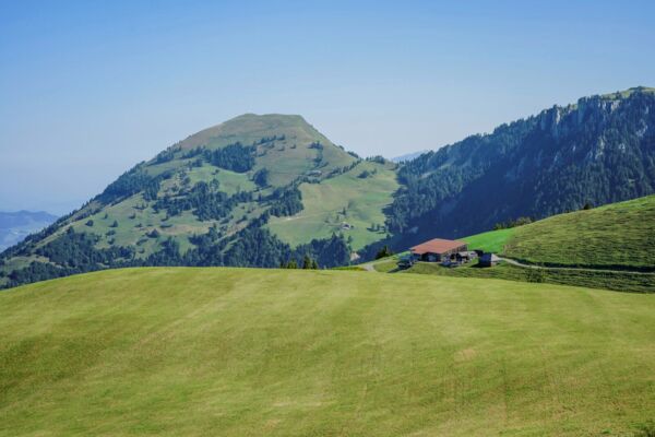 Seilbahnen, Bergwiesen und Flechtenwälder