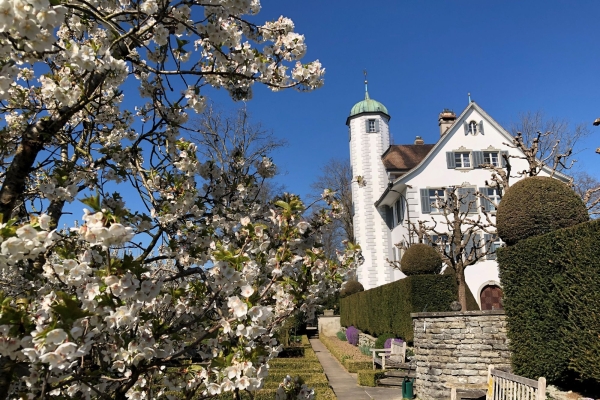 Halbtageswanderung Hahnberg