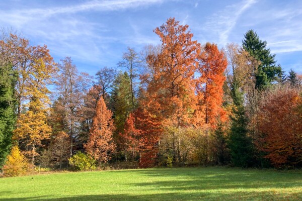 Vom idyllischen Toteissee zum Zürichsee