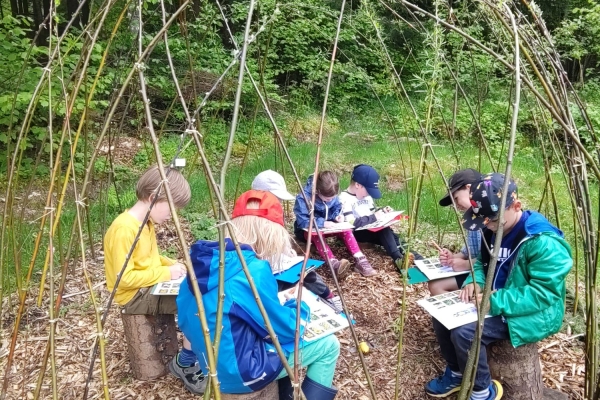 Sentier découverte de l’abeille mellifère, insecte forestier