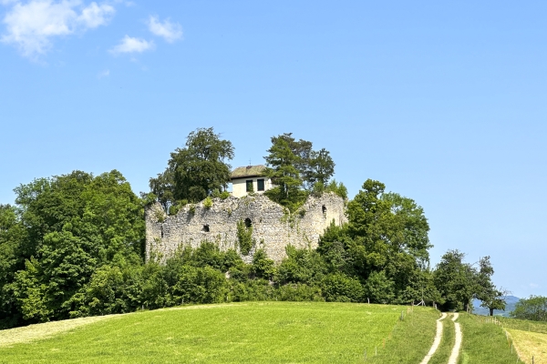 De château en château aux portes de Bâle
