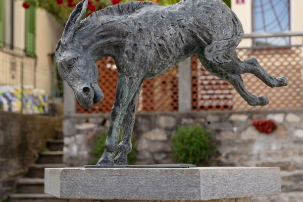 Un bosco rigoglioso e una cascata nel Malcantone
