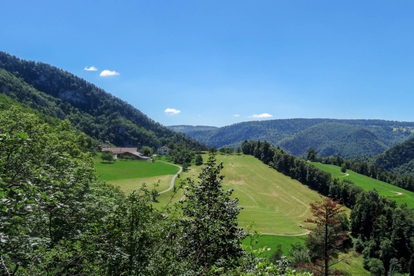 Fraîcheur et ombrage dans le Jura