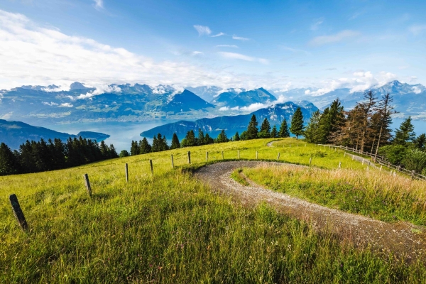 «Rund um den Kanton Luzern» Etappe 25:  Rigi Scheidegg - Greppen