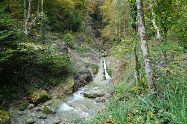 Étendue inspirante du lac Léman