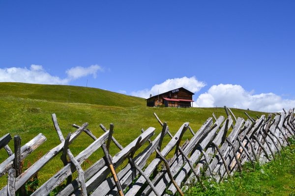 Unterwegs am Furner Berg im Prättigau