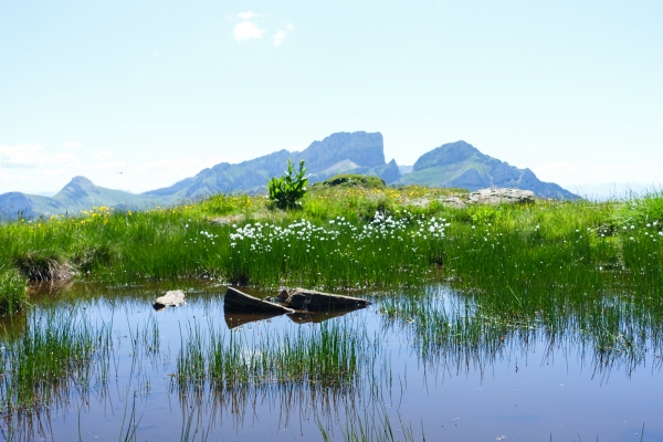 Paysage karstique jusqu’au Chäserrugg