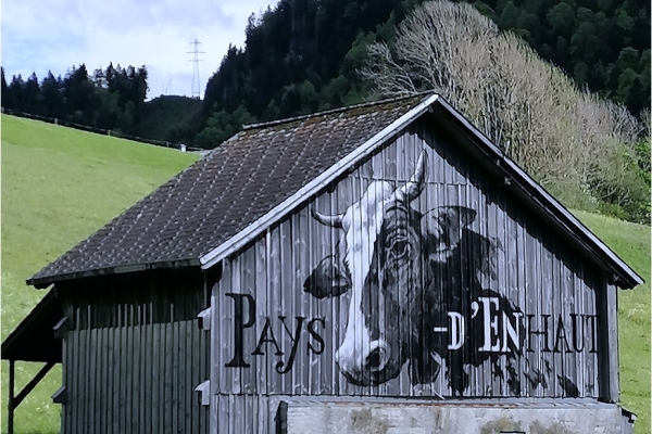 51. Röstigraben: 11. Etappe, Montbovon - Château d'Oex